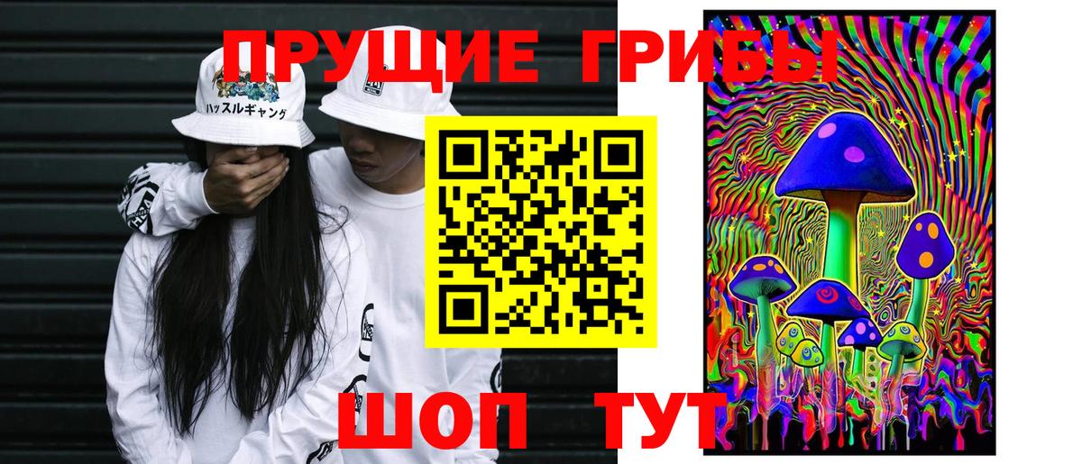 купить наркотик  Псилоцибиновые грибы GOLDEN TEACHER  Галлюциногенные грибы прущие грибы  Вход с VPN  Углич 